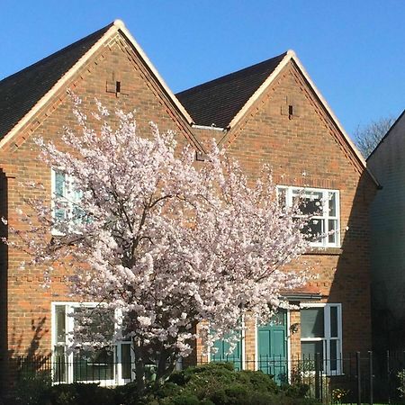 3 Summertown Court Oxford Luaran gambar