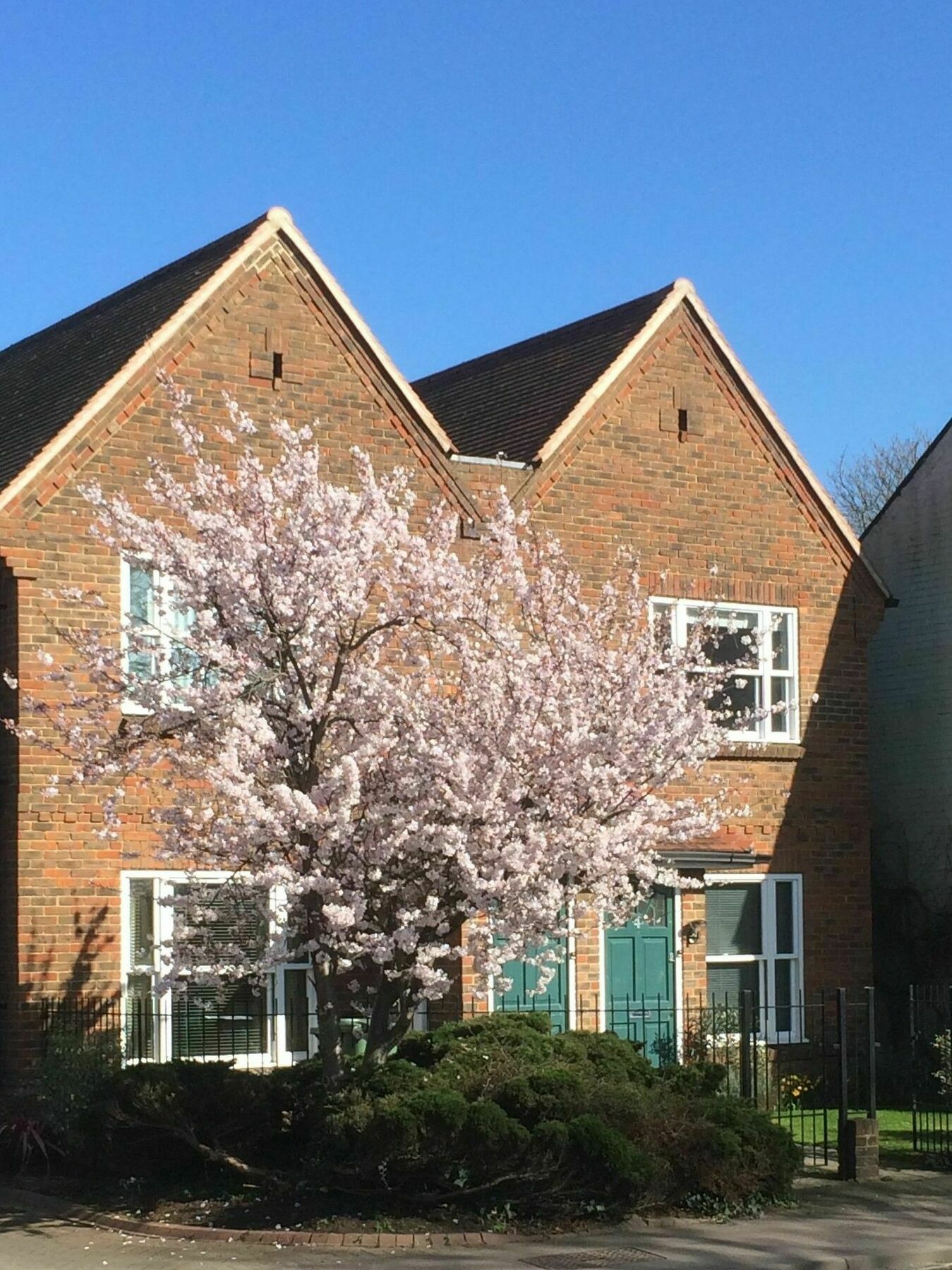 3 Summertown Court Oxford Luaran gambar